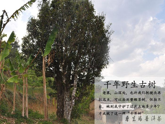 <a href=//rybet8.com target=_blank class=infotextkey>ն</a>Ĳд_èնʥ ʹʥ ᾧ_ն