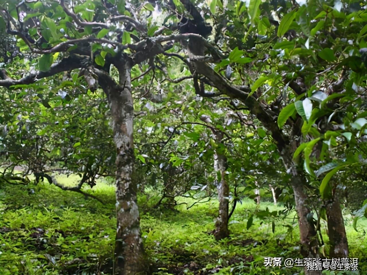 èնʥ ʹʥ ᾧ_ն_<a href=//rybet8.com target=_blank class=infotextkey>ն</a>Ĳд