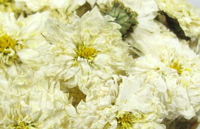 ջĲĹ_ջ󶬲Ĺ_׾<a href=//rybet8.com target=_blank class=infotextkey></a>Ĺ