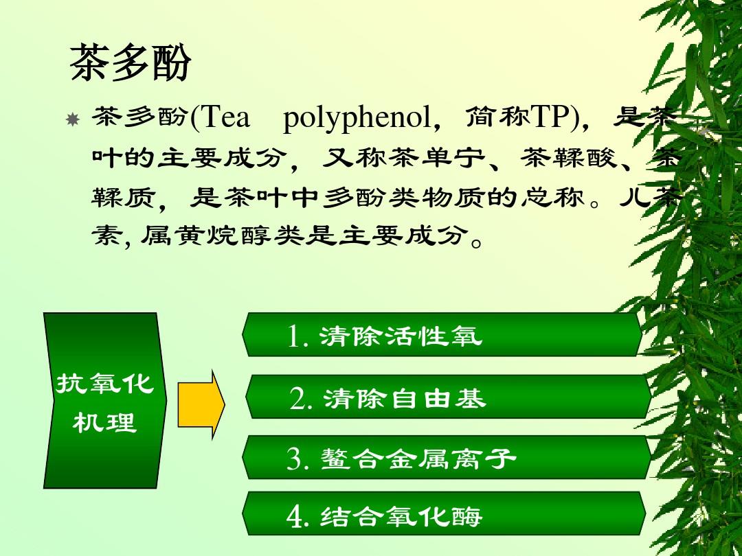 жصĸл_<a href=//rybet8.com target=_blank class=infotextkey>Ҷ</a>жҪɷݼ_<a href=//rybet8.com target=_blank class=infotextkey>Ҷ</a>еĶ