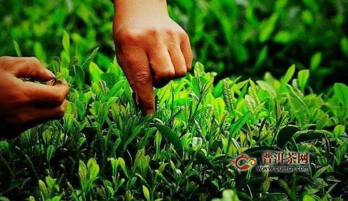 <a href=//rybet8.com target=_blank class=infotextkey>̲</a>_<a href=//rybet8.com target=_blank class=infotextkey>̲</a>_<a href=//rybet8.com target=_blank class=infotextkey>̲</a>