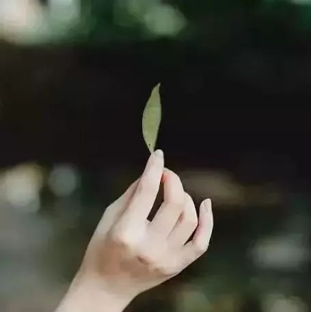 ս̳_ղ_ŲͼƬ