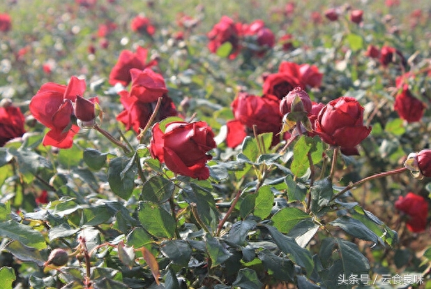 ɫ<a href=//rybet8.com target=_blank class=infotextkey></a>_<a href=//rybet8.com target=_blank class=infotextkey></a>_<a href=//rybet8.com target=_blank class=infotextkey></a>ܹ