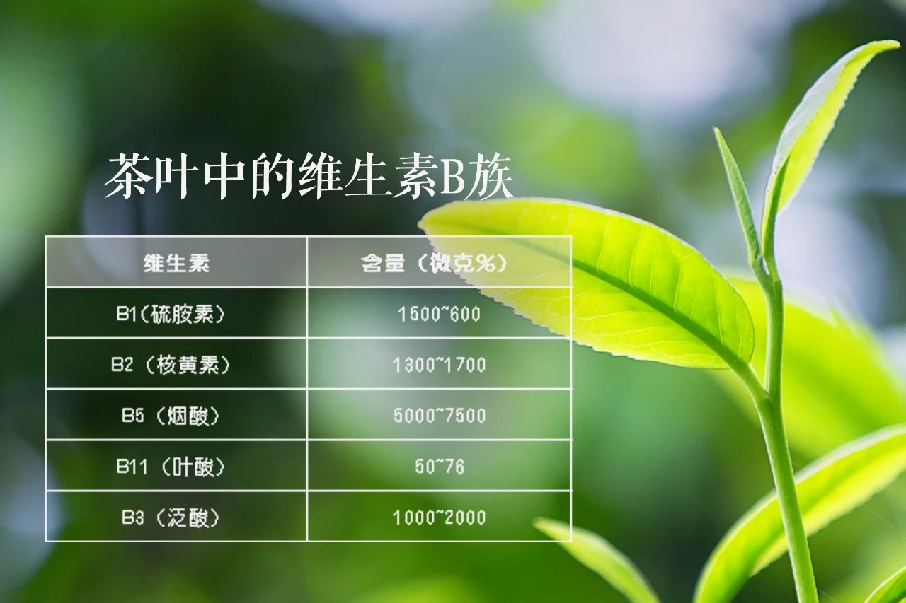 <a href=//rybet8.com target=_blank class=infotextkey></a><a href=//rybet8.com target=_blank class=infotextkey>Ҷ</a>洦_<a href=//rybet8.com target=_blank class=infotextkey></a>洦_Ʒ<a href=//rybet8.com target=_blank class=infotextkey></a>