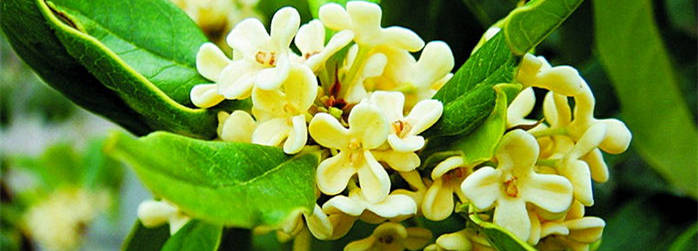 <a href=//rybet8.com target=_blank class=infotextkey></a>Ĺл Щ˲ʺȹ<a href=//rybet8.com target=_blank class=infotextkey></a>