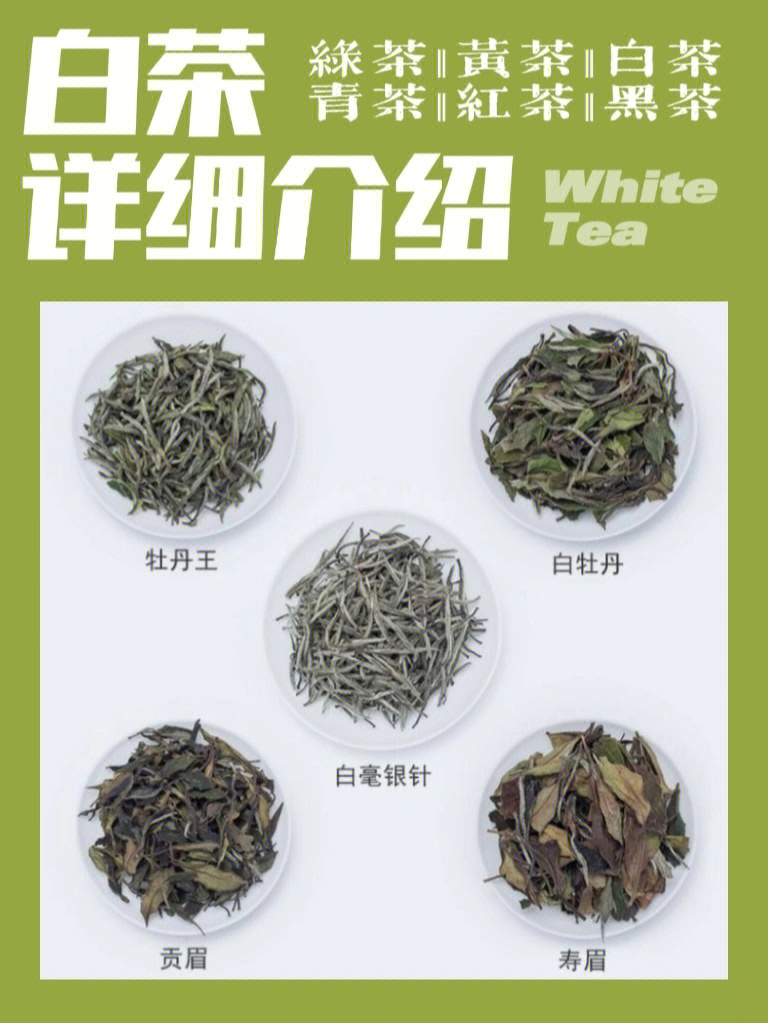 <a href=//rybet8.com target=_blank class=infotextkey>ײ</a>ô_<a href=//rybet8.com target=_blank class=infotextkey>ײ</a>ô洦ͺ_<a href=//rybet8.com target=_blank class=infotextkey>ײ</a>洦