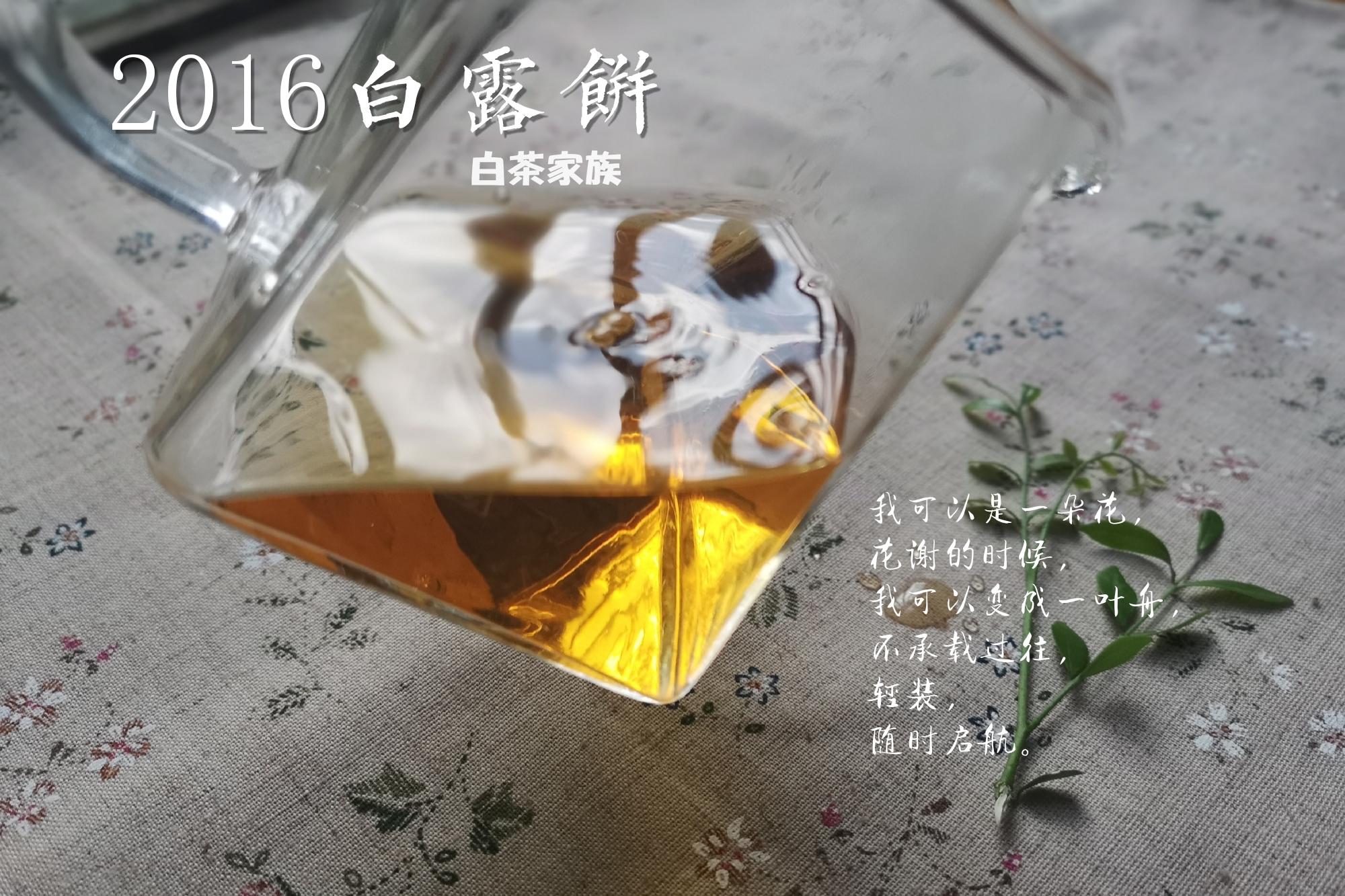 ƽذ¶<a href=//rybet8.com target=_blank class=infotextkey>ײ</a>_ƽذ¶б_2016¶