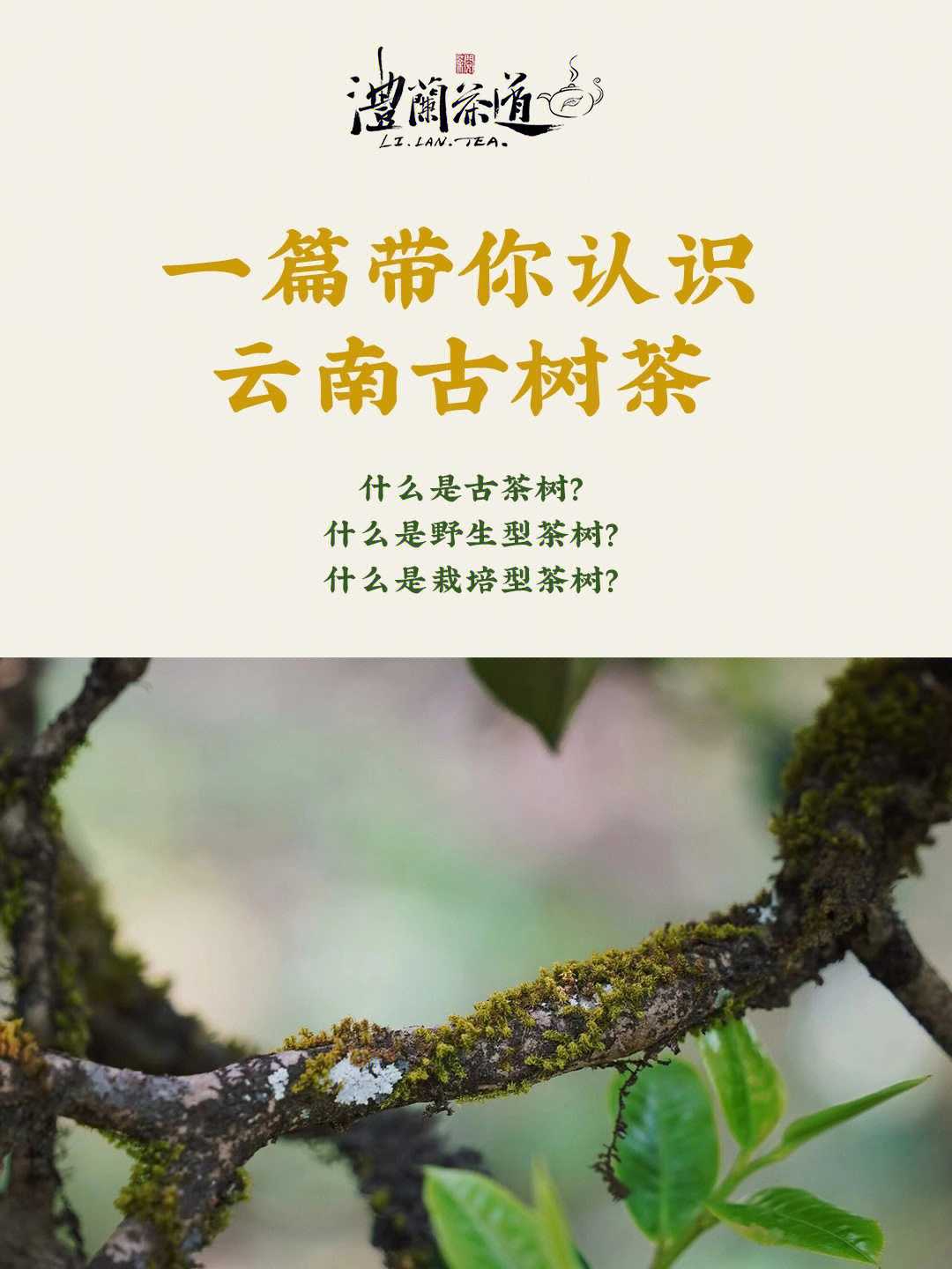 <a href=//rybet8.com target=_blank class=infotextkey></a>_<a href=//rybet8.com target=_blank class=infotextkey></a>㼸Ǯһ_<a href=//rybet8.com target=_blank class=infotextkey></a>