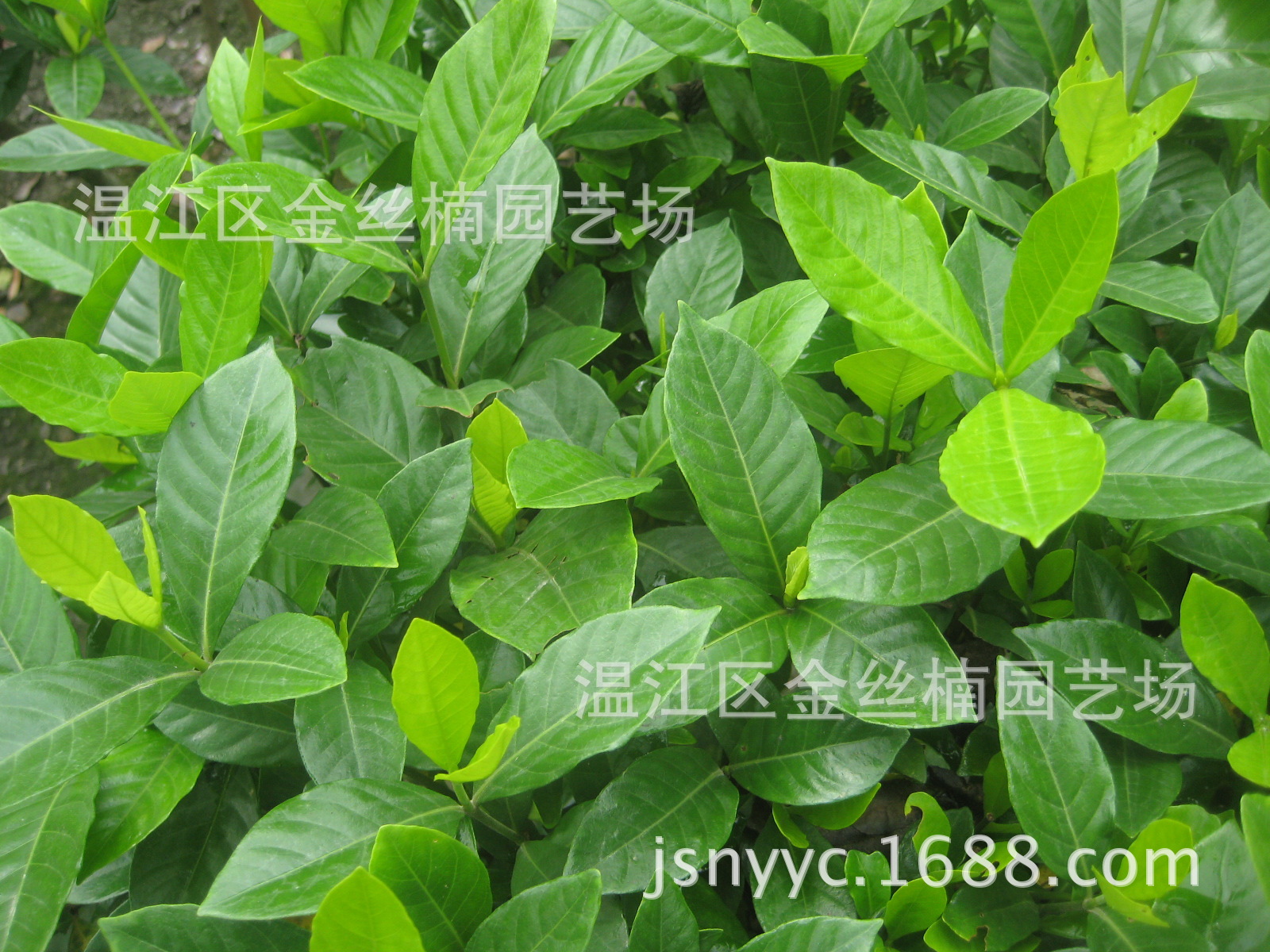 <a href=//rybet8.com target=_blank class=infotextkey>Ҳ</a>ô_<a href=//rybet8.com target=_blank class=infotextkey>Ҳ</a>_<a href=//rybet8.com target=_blank class=infotextkey>Ҳ</a>