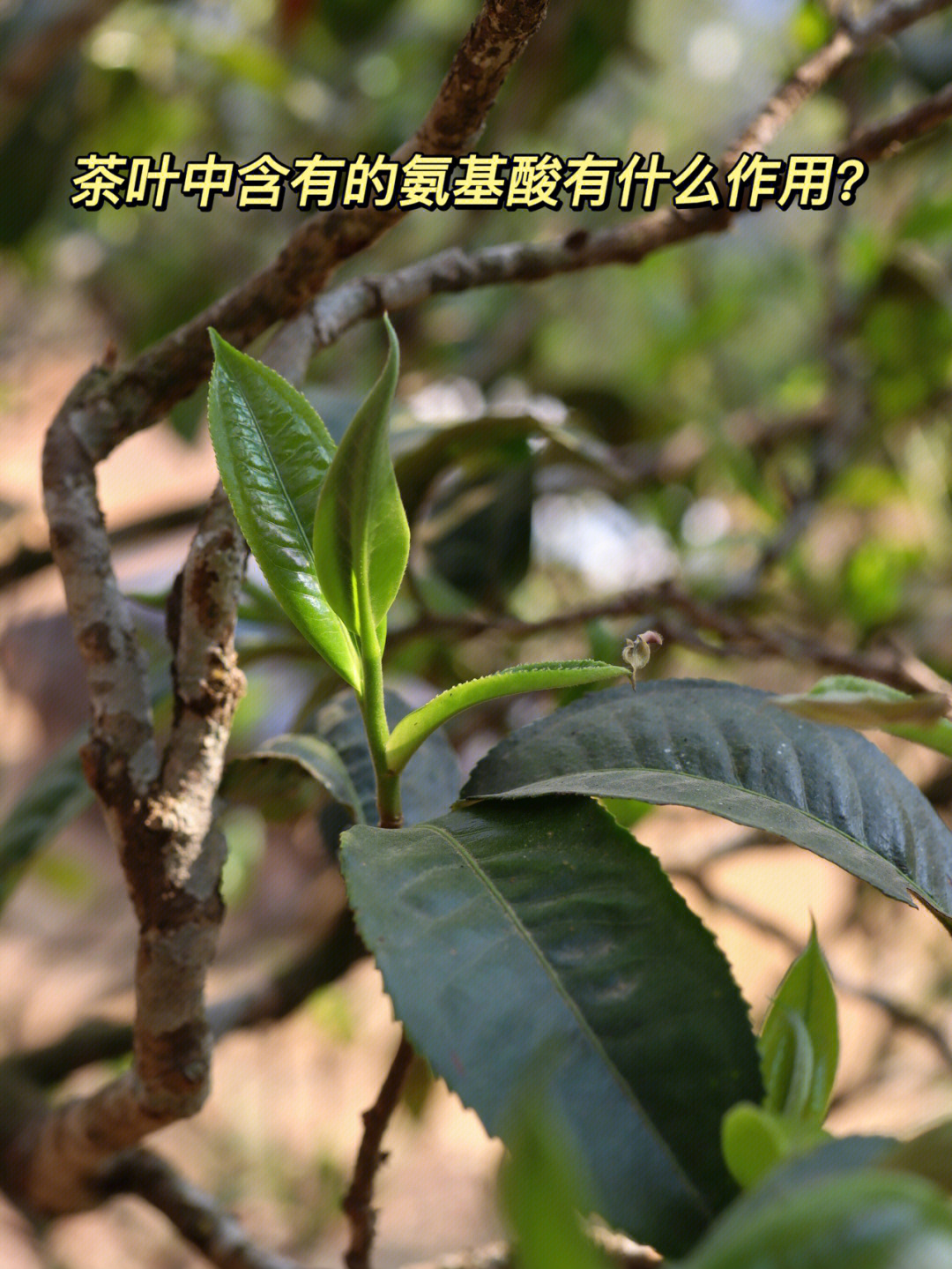 <a href=//rybet8.com target=_blank class=infotextkey>Ҳ</a>_<a href=//rybet8.com target=_blank class=infotextkey>Ҳ</a>ζ_<a href=//rybet8.com target=_blank class=infotextkey>Ҳ</a>ļ