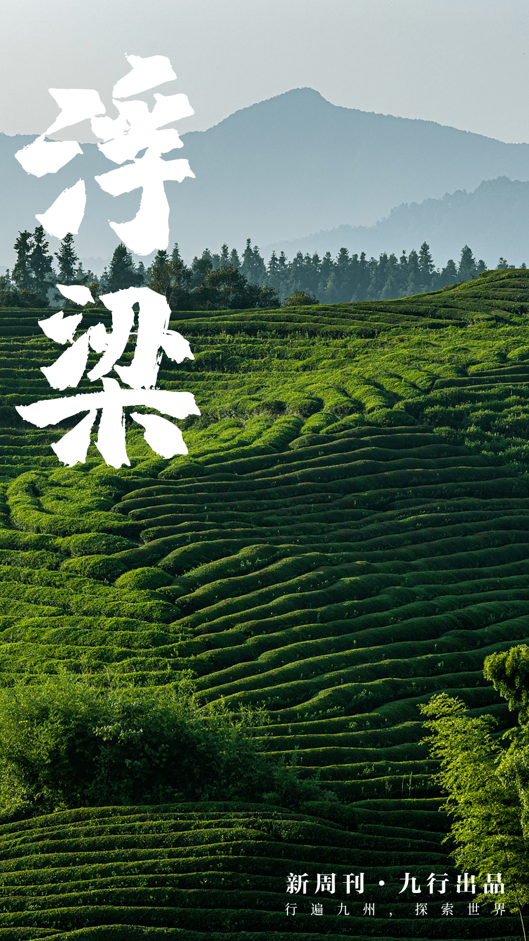 һ춼ᣬ
