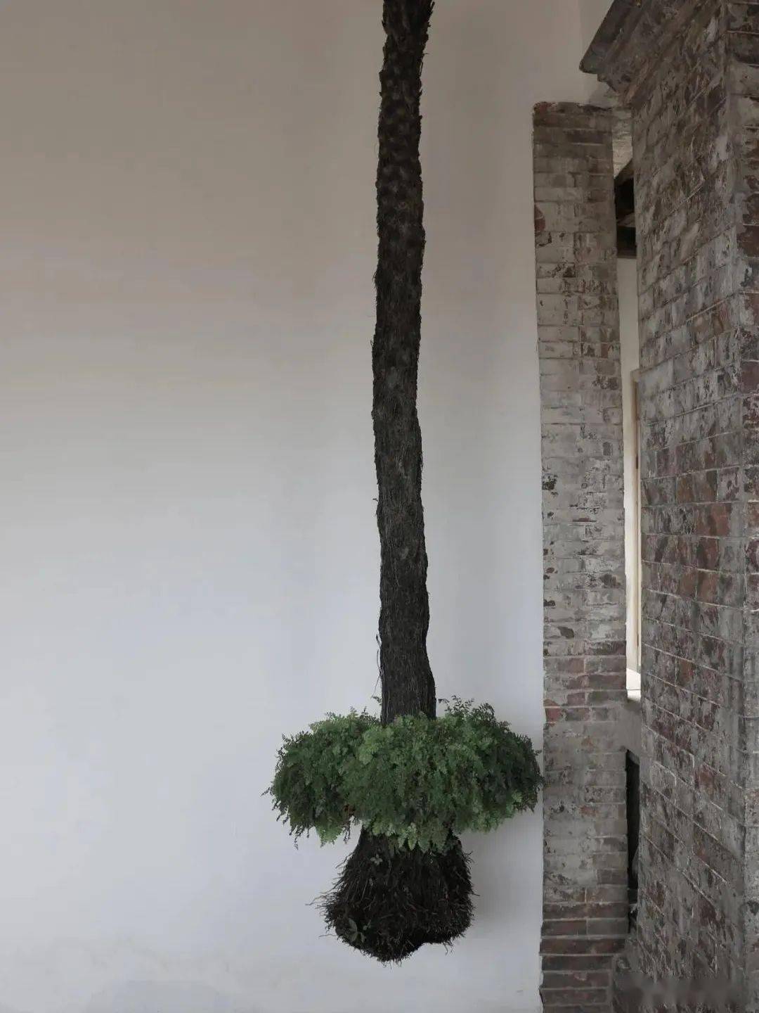 Ȫݲׯɷ_Ȫݲõص_Ȫݲõ