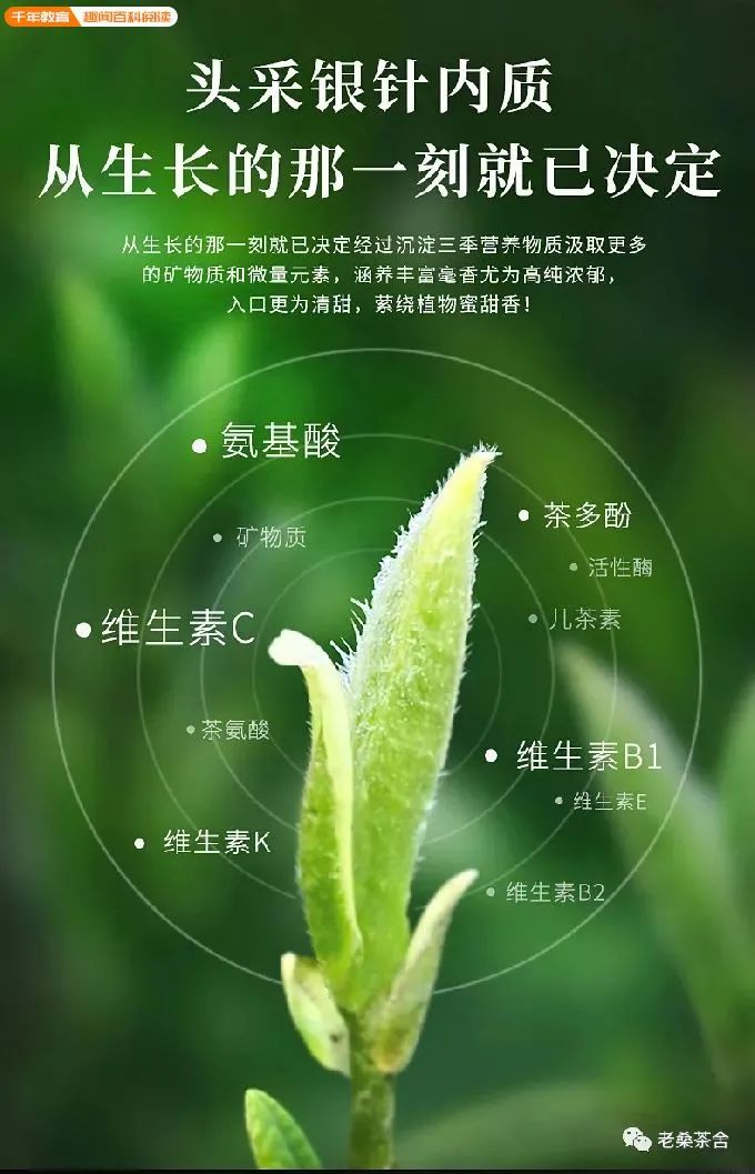 <a href=//rybet8.com target=_blank class=infotextkey>ײ</a>ܹӷ_<a href=//rybet8.com target=_blank class=infotextkey>ײ</a>_<a href=//rybet8.com target=_blank class=infotextkey>ײ</a>ܹ