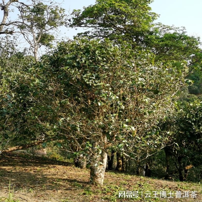 ϲն_<a href=//rybet8.com target=_blank class=infotextkey>ն</a>_Ʒ<a href=//rybet8.com target=_blank class=infotextkey>ն</a>
