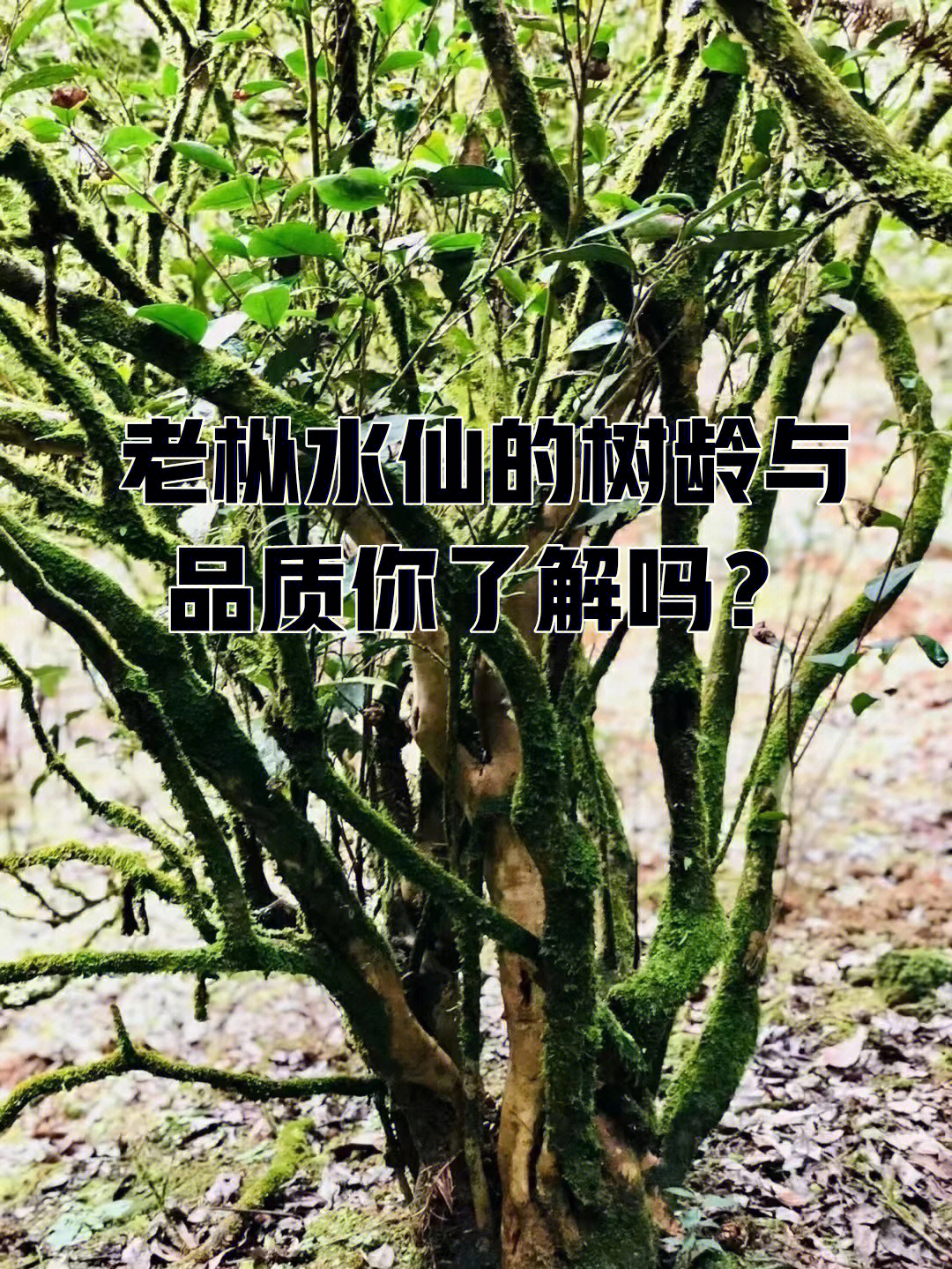 ˮ<a href=//rybet8.com target=_blank class=infotextkey>Ҳ</a><a href=//rybet8.com target=_blank class=infotextkey></a>_ˮ<a href=//rybet8.com target=_blank class=infotextkey>Ҳ</a>_<a href=//rybet8.com target=_blank class=infotextkey>Ҳ</a>ˮô