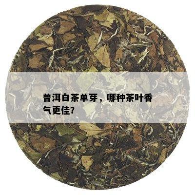 ն<a href=//rybet8.com target=_blank class=infotextkey>ײ</a>ѿһ<a href=//rybet8.com target=_blank class=infotextkey>Ҷ</a>ѣ