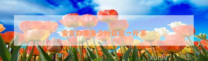 <a href=//rybet8.com target=_blank class=infotextkey>ײ</a>Ҷܳһ