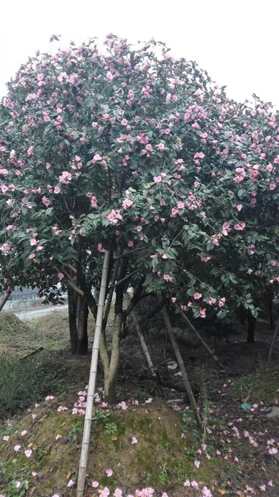 <a href=//rybet8.com target=_blank class=infotextkey></a>Ĺ_<a href=//rybet8.com target=_blank class=infotextkey></a>ôл빦_<a href=//rybet8.com target=_blank class=infotextkey></a>Щ