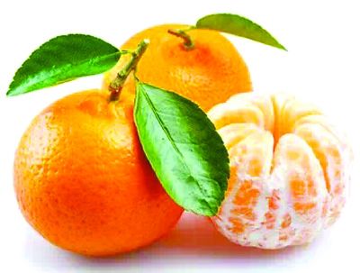 <a href=//rybet8.com target=_blank class=infotextkey>Ҷ</a>ܺ_ȿ<a href=//rybet8.com target=_blank class=infotextkey>Ҷ</a>_<a href=//rybet8.com target=_blank class=infotextkey>Ҷ</a>ĺĺ