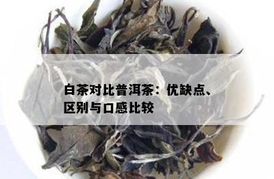 <a href=//rybet8.com target=_blank class=infotextkey>ײ</a><a href=//rybet8.com target=_blank class=infotextkey>ն</a>Ŵڸб