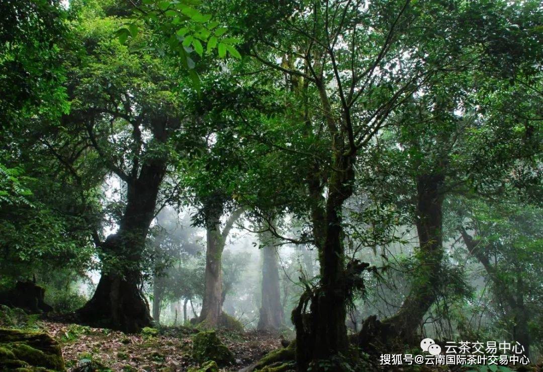 2021<a href=//rybet8.com target=_blank class=infotextkey>ն</a>ɽͷǮ_˴ɽ<a href=//rybet8.com target=_blank class=infotextkey>ն</a>Ǯ_2019<a href=//rybet8.com target=_blank class=infotextkey>ն</a>ɽǮ