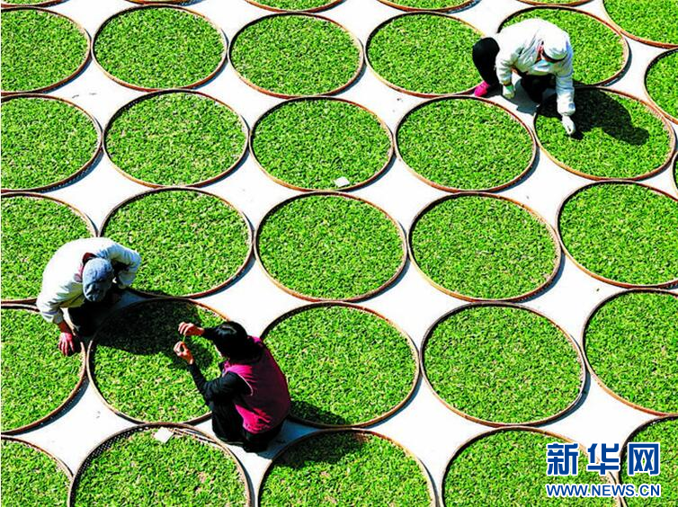 <a href=//rybet8.com target=_blank class=infotextkey></a>上海品茶网ͼƬ_˷上海品茶网<a href=//rybet8.com target=_blank class=infotextkey></a>_˽˹<a href=//rybet8.com target=_blank class=infotextkey></a>上海品茶网