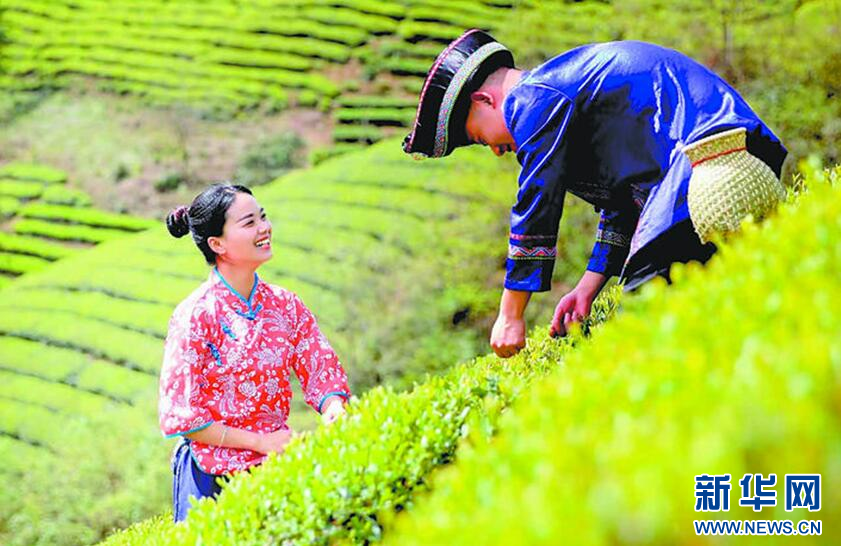 ˷上海品茶网<a href=//rybet8.com target=_blank class=infotextkey></a>_<a href=//rybet8.com target=_blank class=infotextkey></a>上海品茶网ͼƬ_˽˹<a href=//rybet8.com target=_blank class=infotextkey></a>上海品茶网