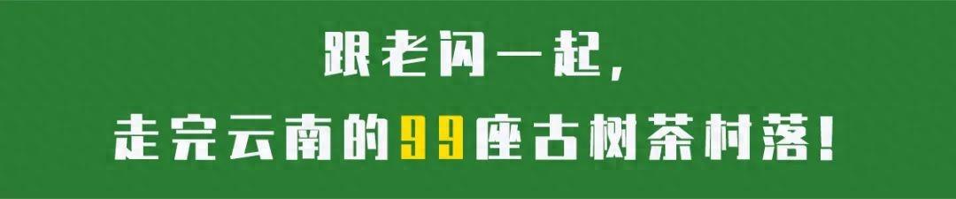 52裺ڲ塱ӣΪʲô˹ܲͰã