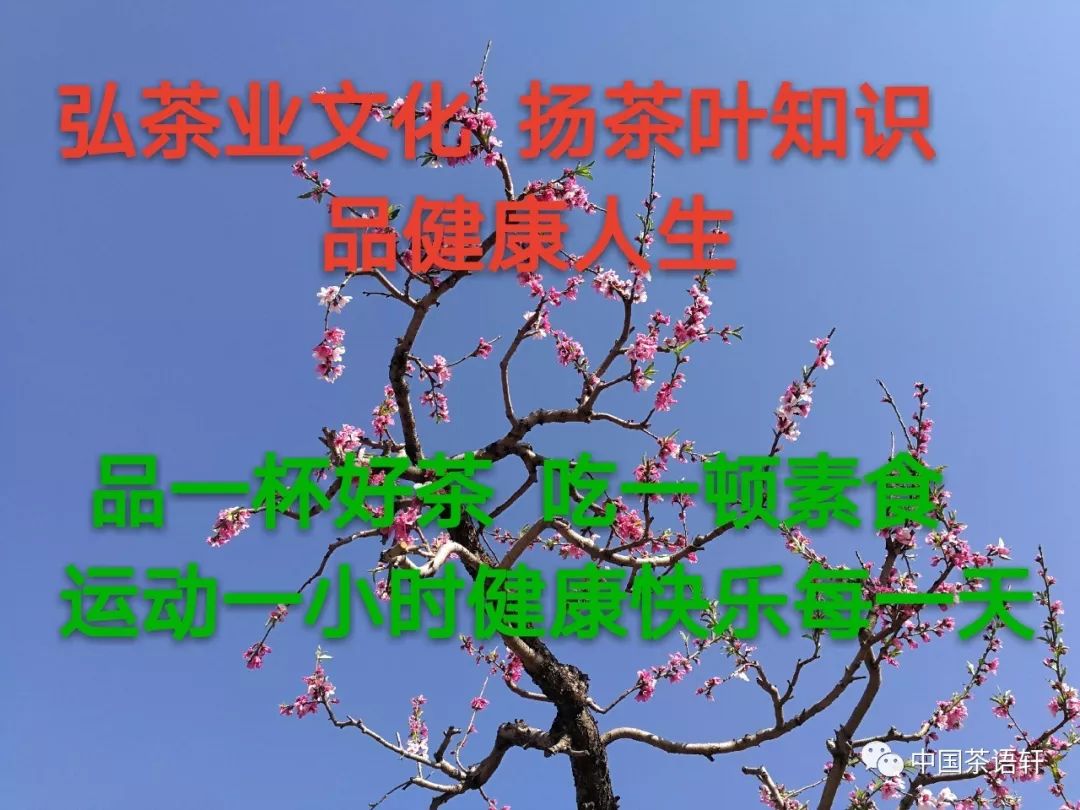 ü_<a href=//rybet8.com target=_blank class=infotextkey></a>ɫ_