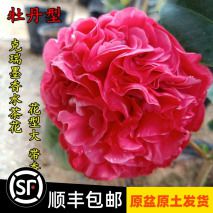 <a href=//rybet8.com target=_blank class=infotextkey></a>ʽô_<a href=//rybet8.com target=_blank class=infotextkey></a>ʻýˮ_<a href=//rybet8.com target=_blank class=infotextkey></a><a href=//rybet8.com target=_blank class=infotextkey>Ҷ</a>ܽ
