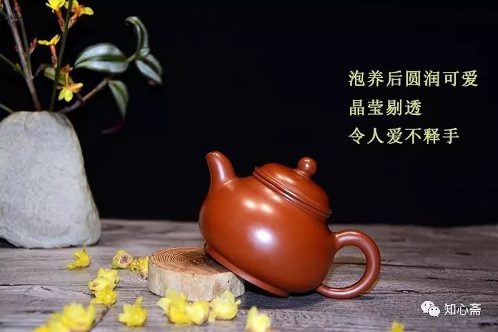 ϲɰʯƺ_ϲɰʯƺ_ɰʯƺô