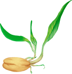 ʶƷ轲_ʶƷȦ_ʶƷ