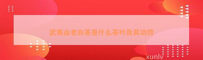 ɽ<a href=//rybet8.com target=_blank class=infotextkey>ײ</a>ô<a href=//rybet8.com target=_blank class=infotextkey>Ҷ</a>书