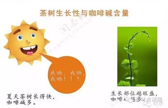 <a href=//rybet8.com target=_blank class=infotextkey>Ҷ</a>к_<a href=//rybet8.com target=_blank class=infotextkey>Ҷ</a>_<a href=//rybet8.com target=_blank class=infotextkey>Ҷ</a>ߵ