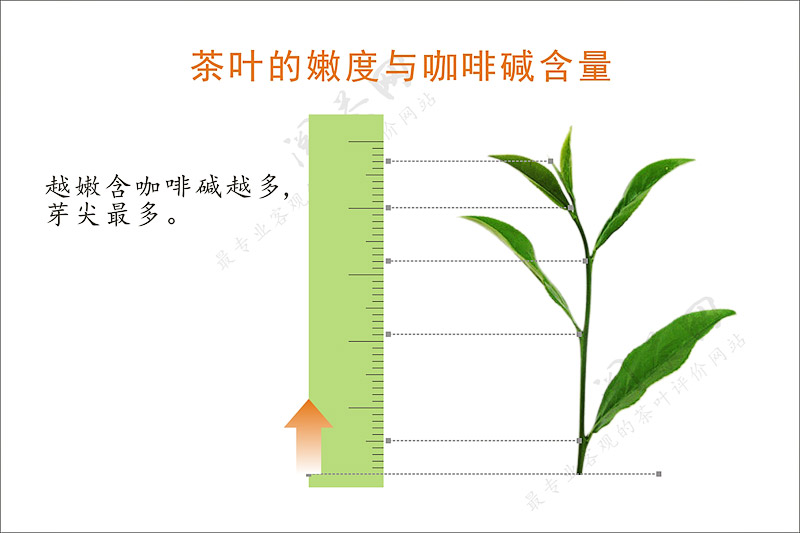 <a href=//rybet8.com target=_blank class=infotextkey>Ҷ</a>ߵ_<a href=//rybet8.com target=_blank class=infotextkey>Ҷ</a>_<a href=//rybet8.com target=_blank class=infotextkey>Ҷ</a>к