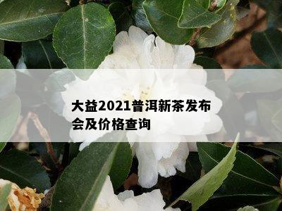 2021ն²ἰǮ