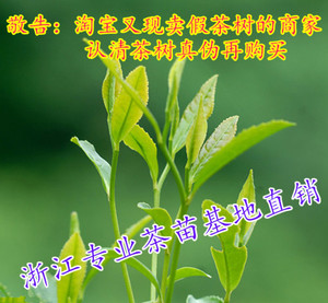 Ʒ<a href=//rybet8.com target=_blank class=infotextkey>Ҳ</a>Ʒ_Ʒ<a href=//rybet8.com target=_blank class=infotextkey>Ҳ</a>ͷ_<a href=//rybet8.com target=_blank class=infotextkey>Ҳ</a>ʮƷ