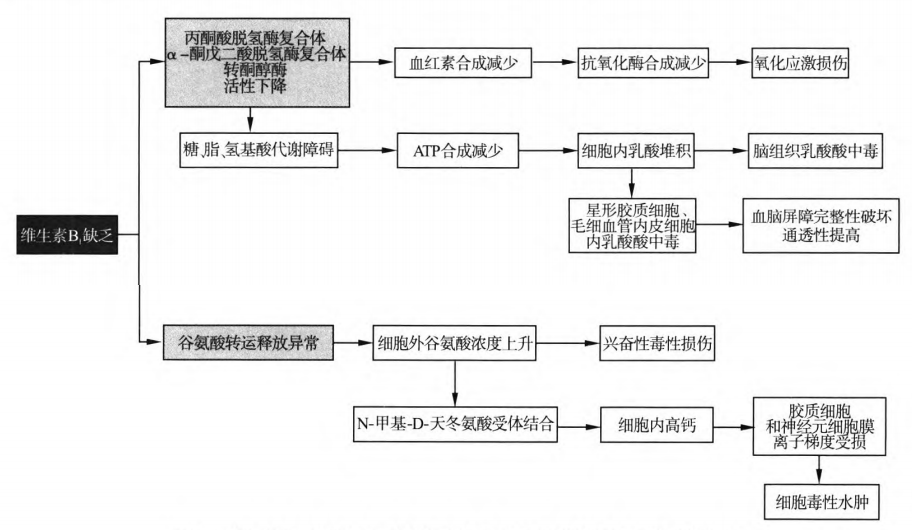 <a href=//rybet8.com target=_blank class=infotextkey>Ҷ</a>ô빦Ч_<a href=//rybet8.com target=_blank class=infotextkey>Ҷ</a>ֹЧ_<a href=//rybet8.com target=_blank class=infotextkey>Ҷ</a>ִۺҩô