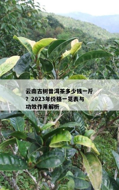 Ϲ<a href=//rybet8.com target=_blank class=infotextkey>ն</a>Ǯһ2023Ǯһ빦ܸл
