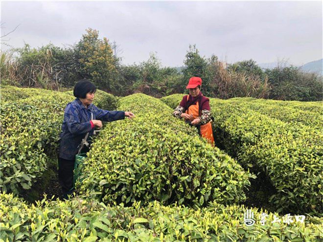 淶<a href=//rybet8.com target=_blank class=infotextkey>Ҳ</a>뼸_<a href=//rybet8.com target=_blank class=infotextkey>Ҳ</a>淶_淶<a href=//rybet8.com target=_blank class=infotextkey>Ҳ</a>