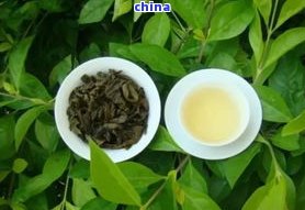 <a href=//rybet8.com target=_blank class=infotextkey>Ҷ</a>аǰʮض<a href=//rybet8.com target=_blank class=infotextkey>Ҷ</a>