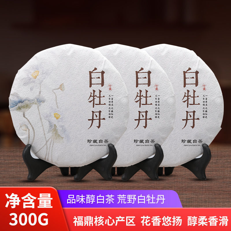 <a href=//rybet8.com target=_blank class=infotextkey>ײ</a>İĵǮ_ĵ<a href=//rybet8.com target=_blank class=infotextkey>ײ</a>_<a href=//rybet8.com target=_blank class=infotextkey>Ҷ</a>ĵ