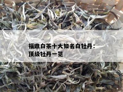 <a href=//rybet8.com target=_blank class=infotextkey>ײ</a>ʮĵĵһ