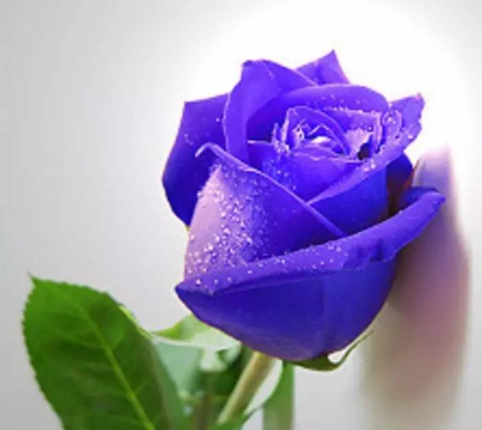 <a href=//rybet8.com target=_blank class=infotextkey></a>˼_<a href=//rybet8.com target=_blank class=infotextkey></a>_<a href=//rybet8.com target=_blank class=infotextkey></a>Ļ