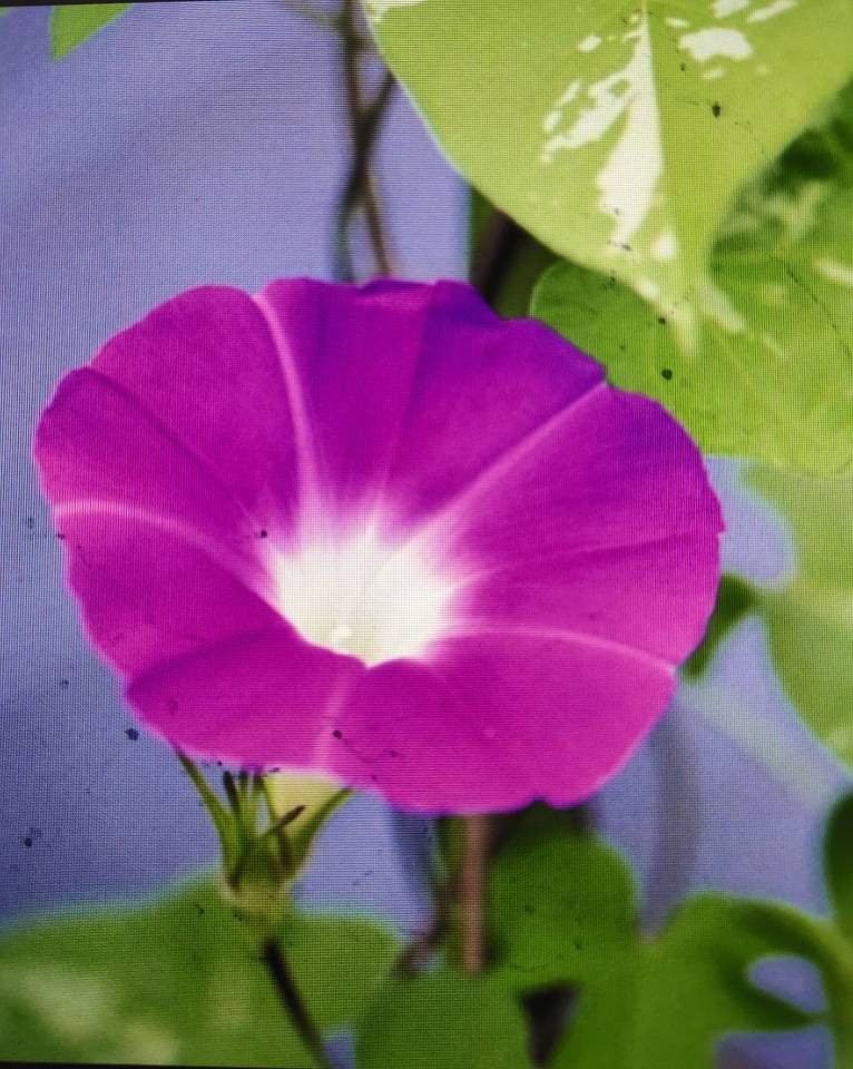 ̲ƷأĿĲˣ