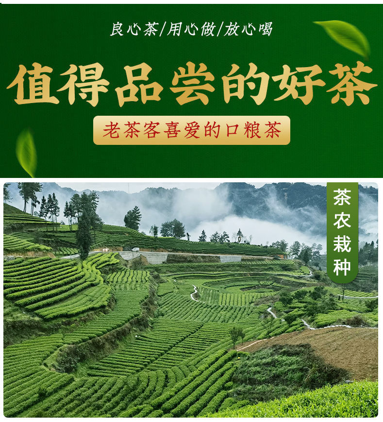 __<a href=//rybet8.com target=_blank class=infotextkey>Ҷ</a>