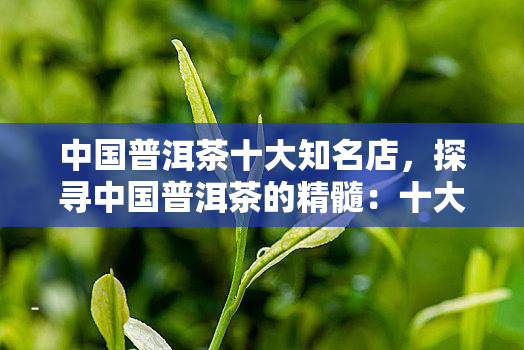 <a href=//rybet8.com target=_blank class=infotextkey>ն</a>_Ǯ_蹦