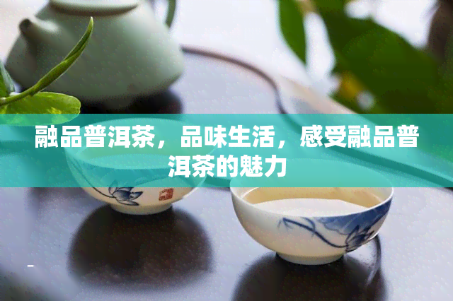 <a href=//rybet8.com target=_blank class=infotextkey>ն</a>˲_<a href=//rybet8.com target=_blank class=infotextkey>ն</a>˵Ͳ_ն